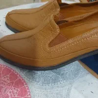 کفش کالج و طبی|کیف، کفش، کمربند|لاهیجان, بازکیاگوراب|دیوار