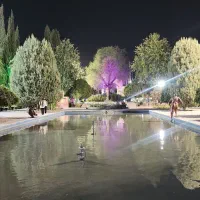 خط رند