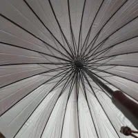 چتر عصایی دخترانه و زنانه صورتی|لباس|رشت, فلسطین|دیوار