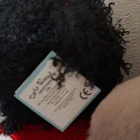 عروسک تدی|اسباب‌‌بازی|اصفهان, خواجو|دیوار