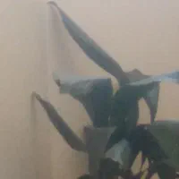 کتاب ...قرآنی