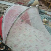 پشه بند