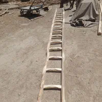 نردبان چوبی باضمانت کلی و جزعی|ابزارآلات|مشهد, پنجتن|دیوار