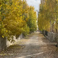 460-متر-جنگلی-سند-دار