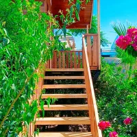 ساخت کلبه چوبی وخدمات نجاری|خدمات پیشه و مهارت|دزفول, |دیوار