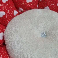 جای خواب سگ وگربه|لوازم جانبی حیوانات|تهران, جمال‌زاده|دیوار