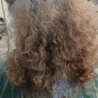 دوره آموزشی آپدیت