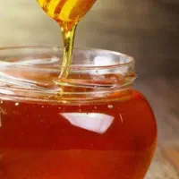 عسل گزانگبین اصل با ساکاروز زیر ۳ درصد