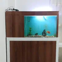 آکواریوم