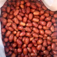 انواع سنجد قزل حاج حسینی درباری قندی