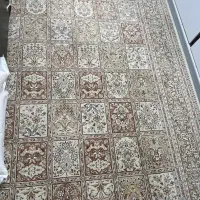 فرس و قالیچه|فرش|ماسال, |دیوار