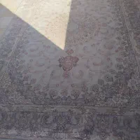 دوتخته فرش فرهی ۹متری|فرش|کرمانشاه, |دیوار