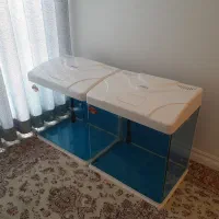 اکواریوم شرکتی آکوآBT500 مکانیزه|ماهی|همدان, |دیوار