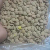 خوردن و اشامیدن