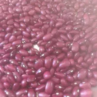فروش لوبیا قرمز یاقوت زنجان|خوردنی و آشامیدنی|تهران, چیتگر شمالی|دیوار
