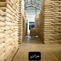 فروش عمده دان قهوه ربوستاعربیکاگلدکلاسیک قیمت پاین