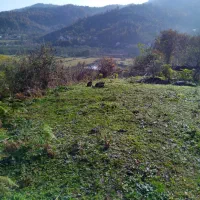 زمین ۱۰۰۰ متری در اطاقور مسکونی رو بلندی