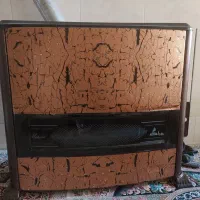 بخاری بزرگ وسالم