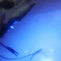 نور آب شور نو نو نو|ماهی|تهران, امیریه|دیوار