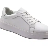 ونس تمام چرم اسکالید اصیل|کیف، کفش، کمربند|میاندوآب, |دیوار