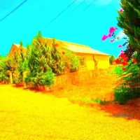 زمین۲۰۰متری نبض جنگل+انشعاب سر ملک