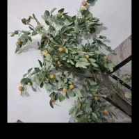 درختچه مصنوعی|گل مصنوعی|زابل, |دیوار