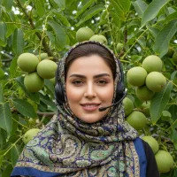 نهال گردو چندلر با باردهی زیاد و با ضمانت