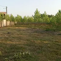 چمن زنی و علف زنی