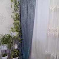 فروش شال پرده شاین|پرده، رانر، رومیزی|نهاوند, |دیوار