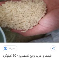 برنج کامفیروزی