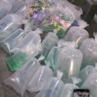 بارجدید زاگرس فیش رسید