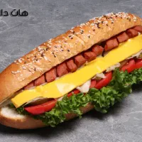 آموزش غذاهای فست فود و فرنگی