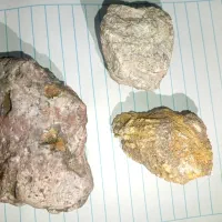 سنگ های قیمتی     شهاب سنگ   سنگ شجر و غیره|کلکسیون اشیاء عتیقه|نرماشیر, |دیوار