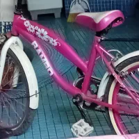 دوچرخه|دوچرخه، اسکیت، اسکوتر|تهران, درکه|دیوار