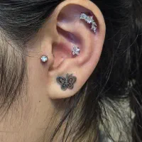 مدل پرسینگ رایگان