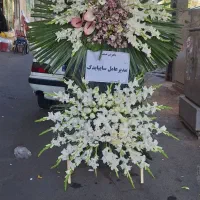 تاج گل ختم|گل و گیاه طبیعی|تبریز, |دیوار