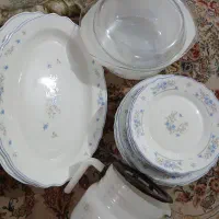 ۵ پلوخوری،۵ خورشت خوری،۸تا پبش دستی،۴ تا دیس ،
