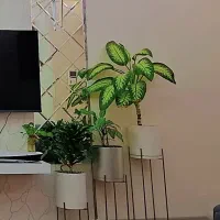۵تا گلدان پایه دار