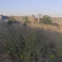 فروش-باغچه-روستای-قلعه-خواجه-دارای-برق-واب-مصرفی