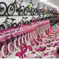 انواع دوچرخههای کوهستانی، شهــری و حرفــهای