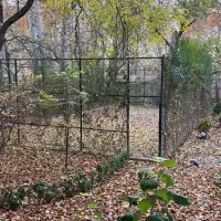 اجاره-باغ-ویلا-کردان-اصلی