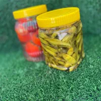 ترشی خانگی|خوردنی و آشامیدنی|ایلخچی, |دیوار