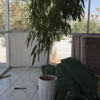 گلدون و گل