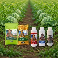 پکیج کود هلو شمس 30درصد باردهی بیشتر