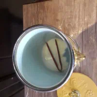 جا یخی قدیمی|کلکسیون اشیاء عتیقه|مشهد, خرمشهر|دیوار