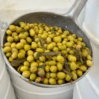 زیتون|خوردنی و آشامیدنی|تهران, انبار نفت|دیوار