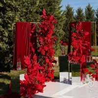 بادکنک آرایی و گل آرایی تمام جشن ها