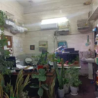 تاکسی تلفنی پرستو|استخدام حمل و نقل|قم, قلعه یزدیها|دیوار