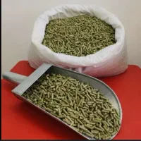 همستر|موش و خرگوش|مشگین شهر, |دیوار