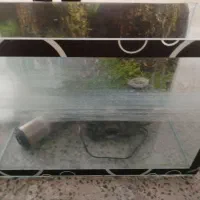 آکواریوم همراه پمپ و تزیینات